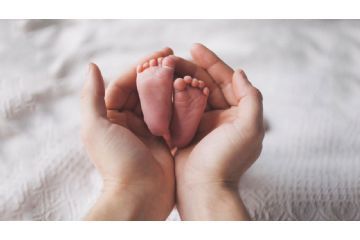 Domanda per richiesta assegno di maternità. Informativa e modulo di domanda anno 2026